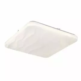 OML-47907-64 Потолочный светильник Omnilux Palmadula