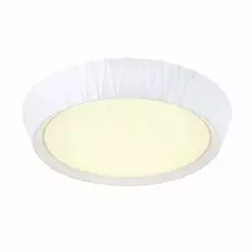 OML-49107-72 Потолочный светильник Omnilux Tissi