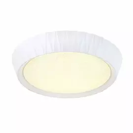 OML-49107-72 Потолочный светильник Omnilux Tissi