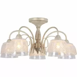 OML-53107-05 Потолочная люстра Omnilux Pattada