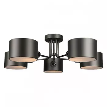 OML-54507-05 Потолочная люстра Omnilux Liser