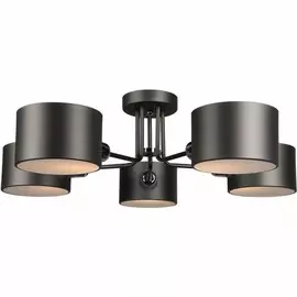 OML-54507-05 Потолочная люстра Omnilux Liserà
