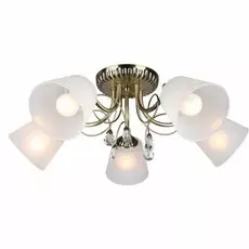 OML-54607-05 Потолочная люстра Omnilux Larone