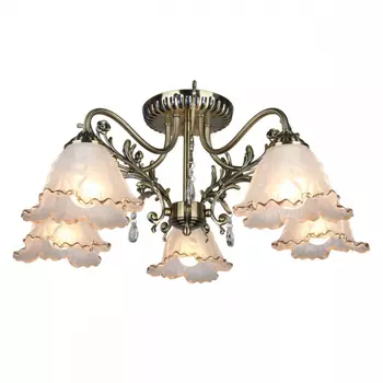 OML-54807-05 Потолочная люстра Omnilux Petrara