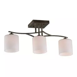 OML-55317-03 Потолочная люстра Omnilux Pisticci