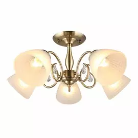 OML-65407-05 Потолочная люстра Omnilux Rezzato