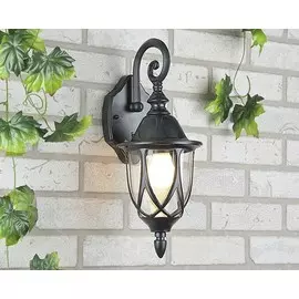 Orion черный Уличный настенный светильник Elektrostandard 4690389012297 (a025002)