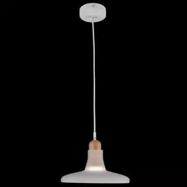 P017PL-01W Подвесной светильник Maytoni Ola