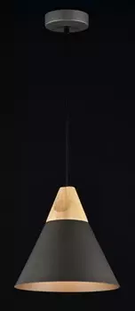 P359-PL-220-C Подвесной светильник Maytoni Bicones (MOD359-01-C)