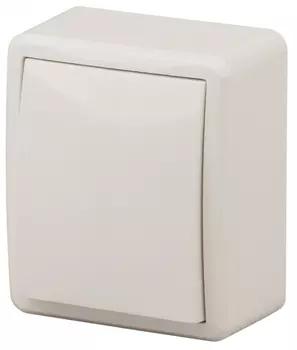 Переключатель одноклавишный ЭРА Эксперт 10AX 250V 11-1203-02 Б0020661