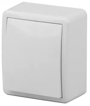 Переключатель одноклавишный ЭРА Эксперт 10AX 250V 11-1203-01 Б0020660