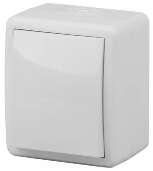 Переключатель одноклавишный ЭРА Эксперт 10AX 250V IP54 11-1403-01 Б0020673