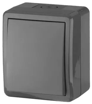Переключатель одноклавишный ЭРА Эксперт 10AX 250V IP54 11-1403-03 Б0020674