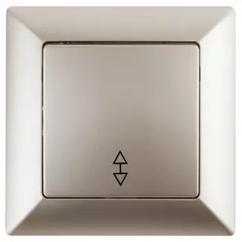 Переключатель одноклавишный ЭРА Intro Solo 10A 250V шампань 4-103-04 Б0043280