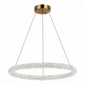 Подвесная диммируемая люстра с пультом ДУ ST Luce Avana SL6110.213.01