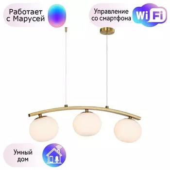 Подвесная люстра Arcata Favourite с поддержкой Маруся 4055-3P-М