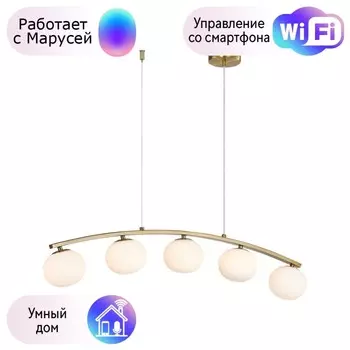 Подвесная люстра Arcata Favourite с поддержкой Маруся 4055-5P-М
