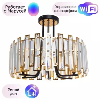 Подвесная люстра Arte Lamp Amber с поддержкой Маруся A1028PL-6BK-М