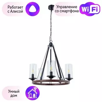 Подвесная люстра Arte Lamp Dalim с поддержкой Алиса A7014SP-5BK-A