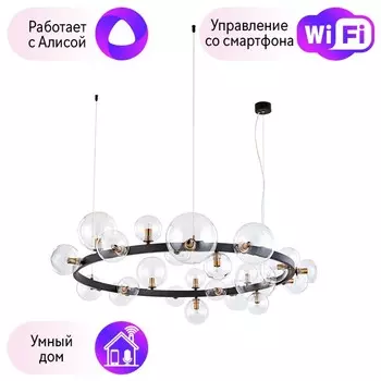 Подвесная люстра Arte Lamp Vincent с поддержкой Алиса A7790SP-24BK-A
