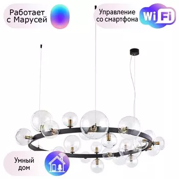 Подвесная люстра Arte Lamp Vincent с поддержкой Маруся A7790SP-24BK-М