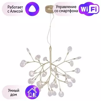 Подвесная люстра Crystal Lux с поддержкой Алиса EVITA SP36 GOLD/TRANSPARENT-А