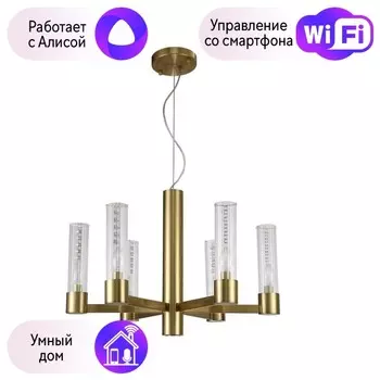 Подвесная люстра Crystal Lux с поддержкой Алиса OTONO SP6+1 BRASS/TRANSPARENTE-А