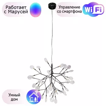 Подвесная люстра Crystal Lux с поддержкой Маруся Evita SP36 BLACK/TRANSPARENT (1690/236)-М