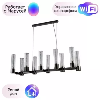 Подвесная люстра Crystal Lux с поддержкой Маруся OTONO SP10 L980 BLACK CHROMIUM/TRANSPARENTE-М