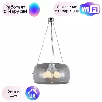 Подвесная люстра Crystal Lux с поддержкой Маруся Style SP5 Transparent-М