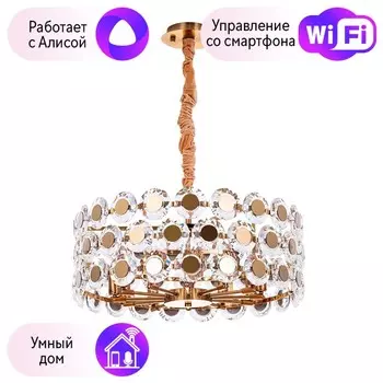 Подвесная люстра Divinare AMALTHEA с поддержкой Алиса 7202/17 LM-10-A