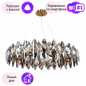 Подвесная люстра Divinare Rosalinda с поддержкой Алиса 7203/17 LM-12-A