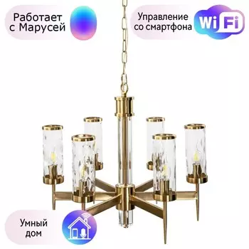 Подвесная люстра Divinare Sham с поддержкой Маруся 4505/17 LM-6-М