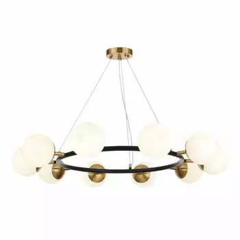 Подвесная люстра Evoluce Forli SLE220403-10