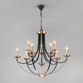 Подвесная люстра Eurosvet Lazzaro 60098/9 черный a045217