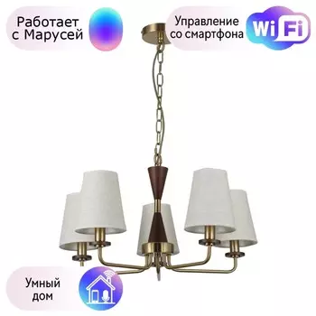 Подвесная люстра F-Promo Arbor с поддержкой Маруся 2737-5P-М