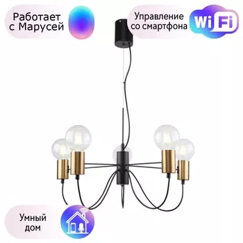 Подвесная люстра F-Promo Edisson с поддержкой Маруся 2990-5P-М