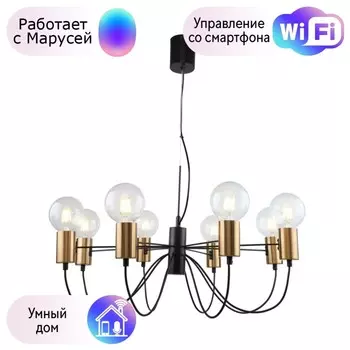 Подвесная люстра F-Promo Edisson с поддержкой Маруся 2990-8P-М