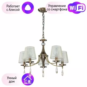 Подвесная люстра F-Promo Imber с поддержкой Алиса 2639-5P-A