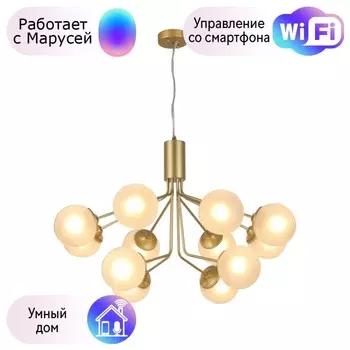 Подвесная люстра F-Promo Pax с поддержкой Маруся 2631-12U-М