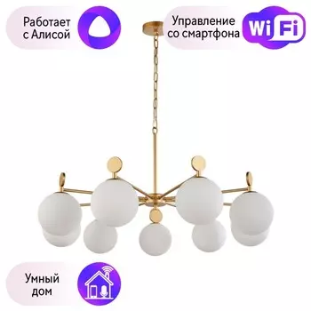 Подвесная люстра Favourite Absolute с поддержкой Алиса 2928-9P-A