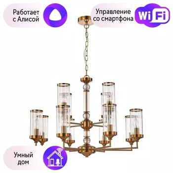 Подвесная люстра Favourite Basis с поддержкой Алиса 2927-12P-A
