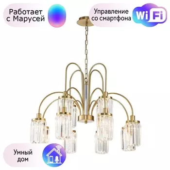 Подвесная люстра Favourite Duke с поддержкой Маруся 2969-12P-М