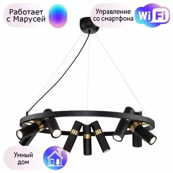 Подвесная люстра Favourite Light point с поддержкой Маруся 2997-9P-М