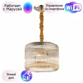 Подвесная люстра Favourite Negociant с поддержкой Маруся 2094-4P-М