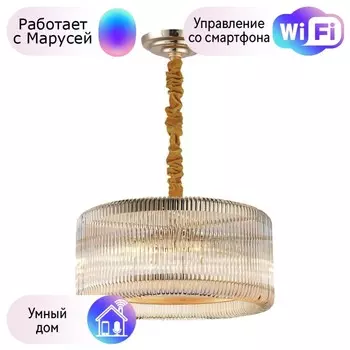 Подвесная люстра Favourite Negociant с поддержкой Маруся 2094-6P-М