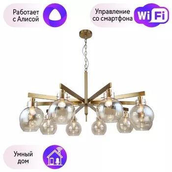 Подвесная люстра Favourite Palear с поддержкой Алиса 2775-10P-A