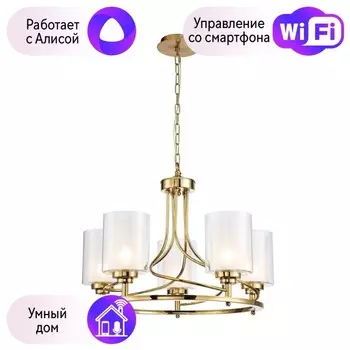 Подвесная люстра Favourite Plexus с поддержкой Алиса 2963-5P-A