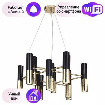 Подвесная люстра Favourite Ultra с поддержкой Алиса 1600-13P-A