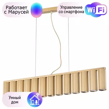 Подвесная люстра Lightstar с поддержкой Маруся Roma 718133